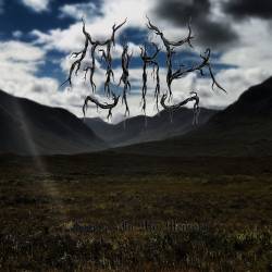 Mire (UK) : Forever in My Memory